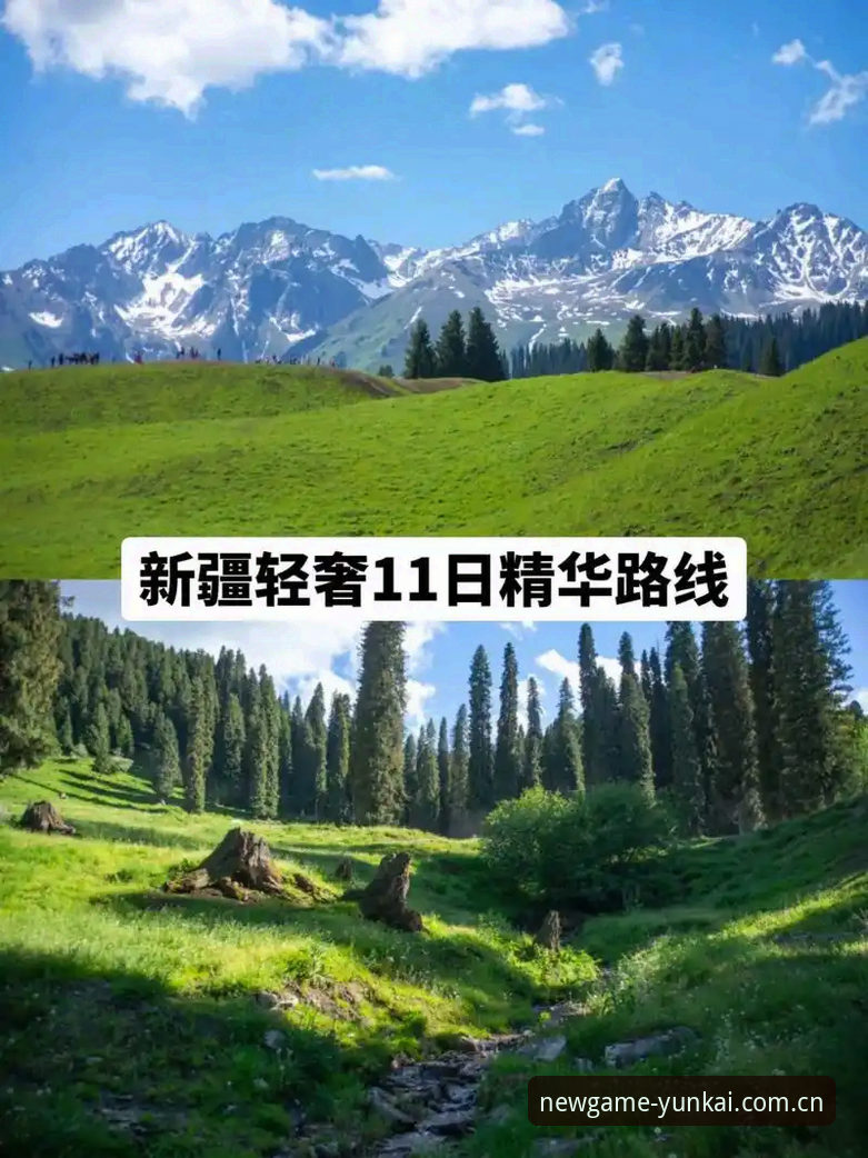 云开体育平台版本更新教程：掌握最新功能与优化技巧